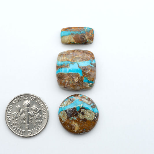 Royston Turquoise cabochons, blue-green color with natural matrix, polished stones on a white background, with a US dime for scale