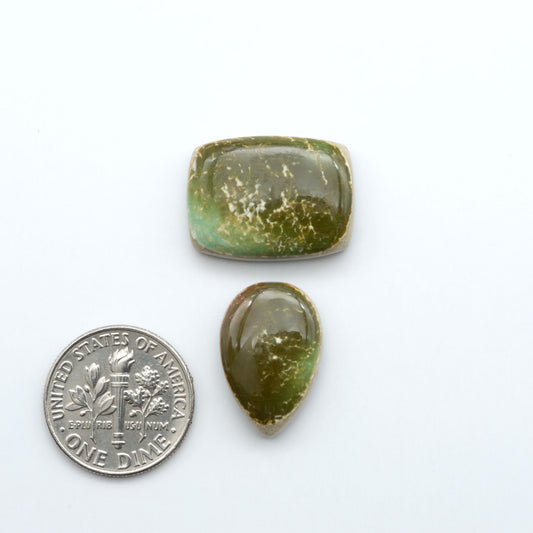 Royston Turquoise cabochons, blue-green color with natural matrix, polished stones on a white background, with a US dime for scale