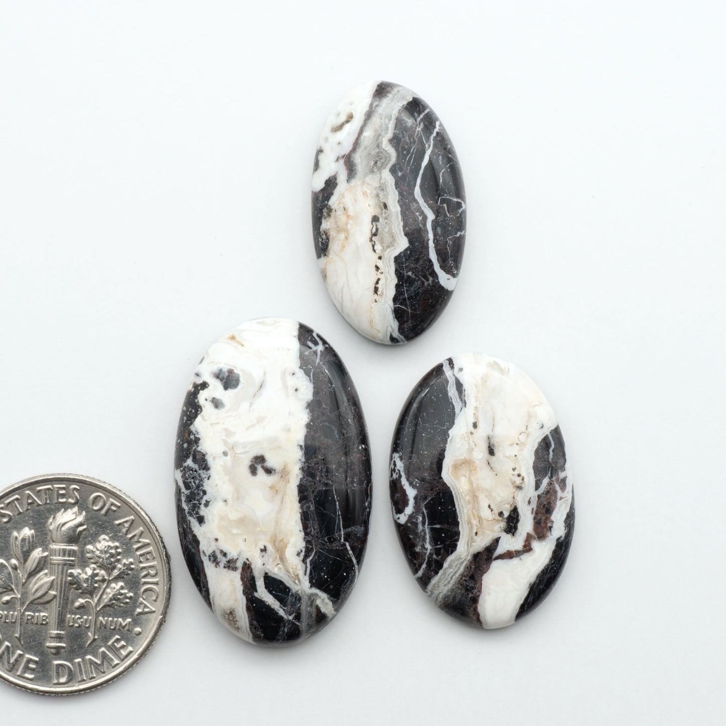 White Buffalo stone cabochons, white stone with black matrix, polished stones on a white background, with a US dime for scale