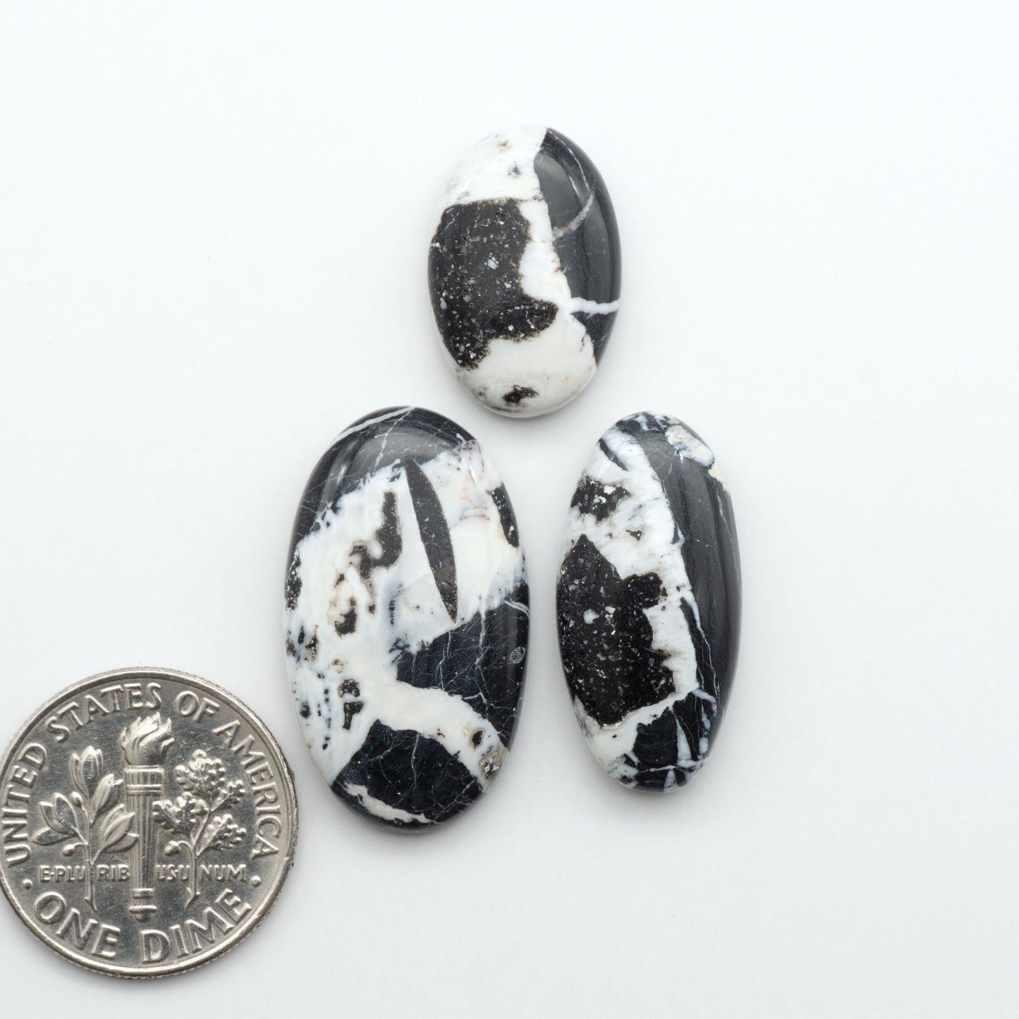 White Buffalo stone cabochons, white stone with black matrix, polished stones on a white background, with a US dime for scale