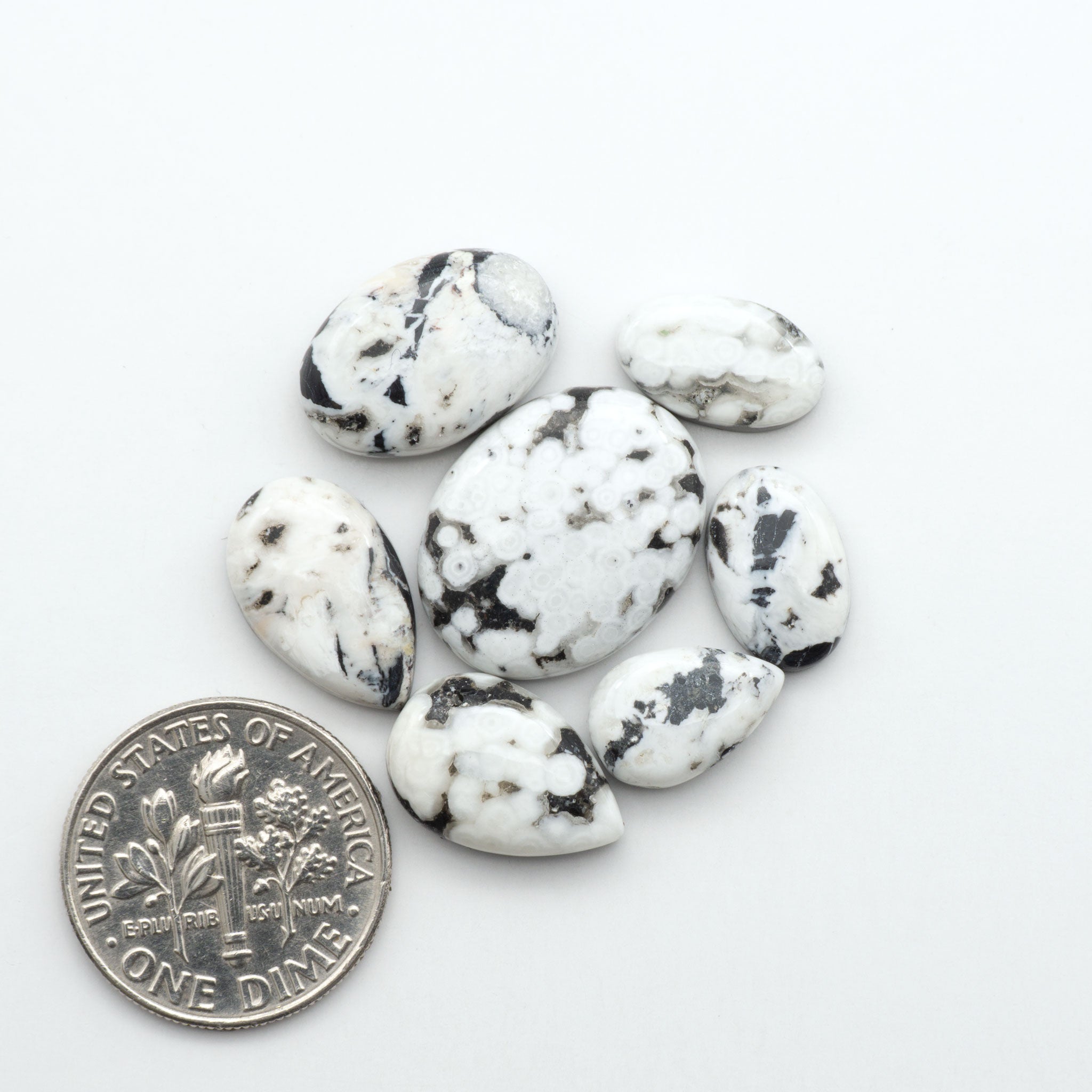 White Buffalo Stone Cabochons – Cutting Edge Turquoise