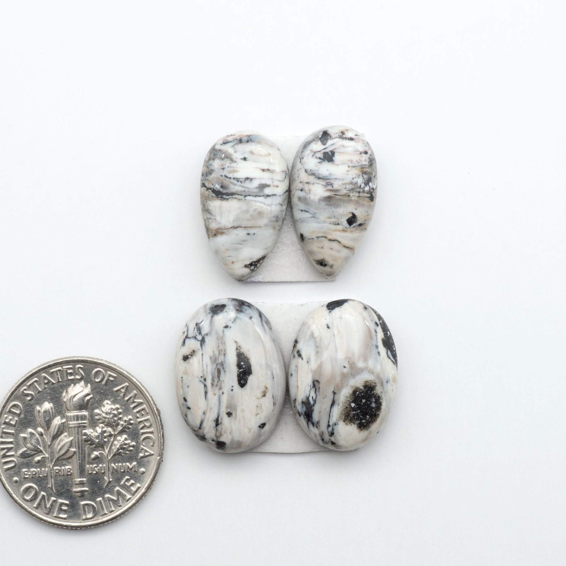 White Buffalo stone cabochons, white stone with black matrix, polished stones on a white background, with a US dime for scale
