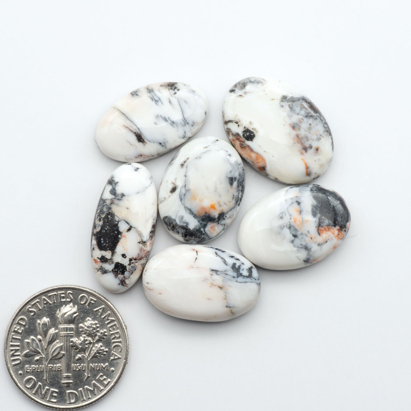 White Buffalo stone cabochons, white stone with black matrix, polished stones on a white background, with a US dime for scale