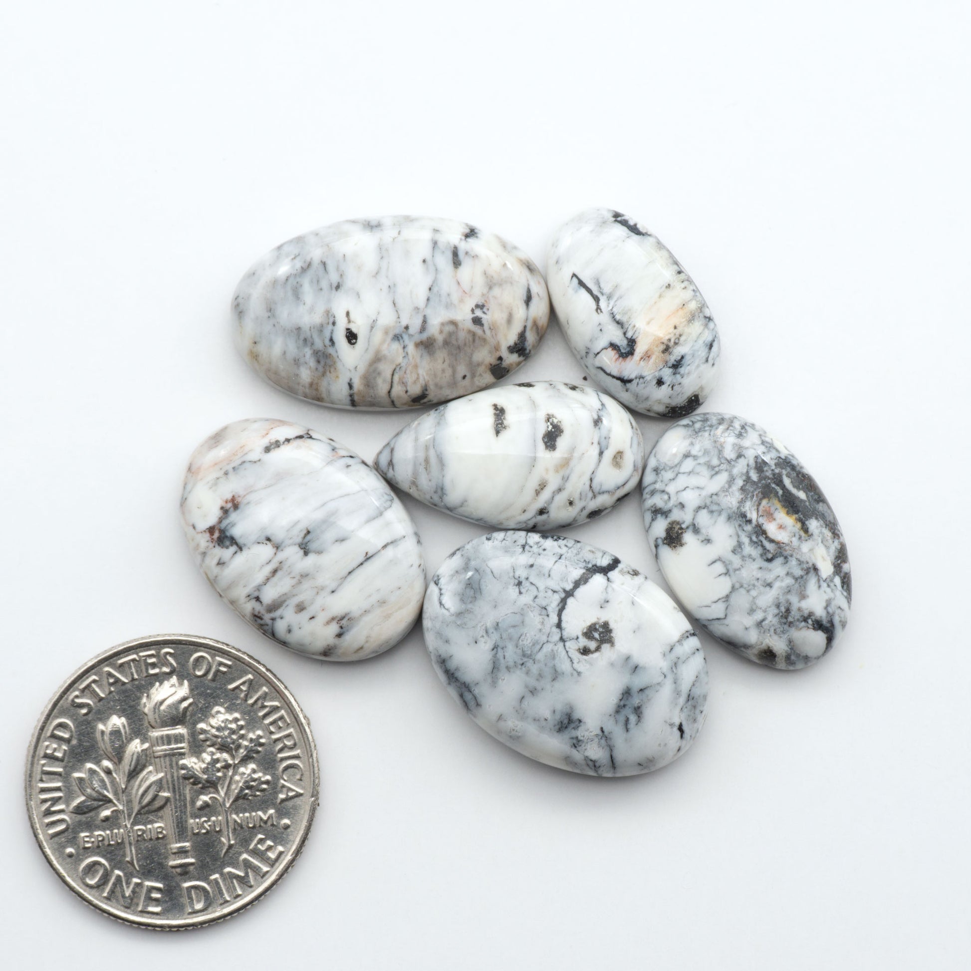 White Buffalo stone cabochons, white stone with black matrix, polished stones on a white background, with a US dime for scale