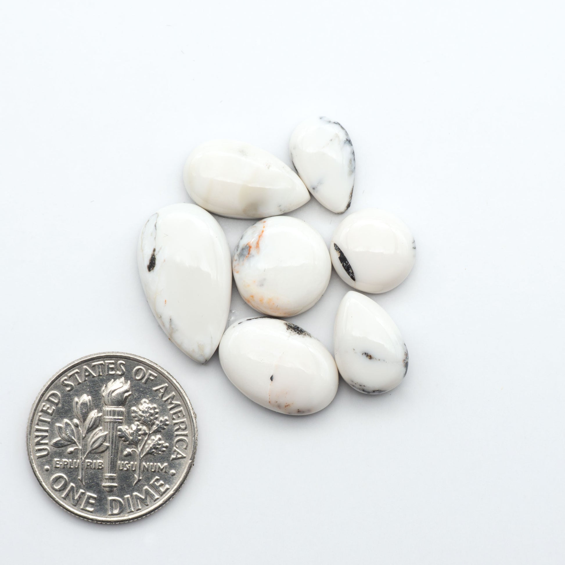 White Buffalo stone cabochons, white stone with black matrix, polished stones on a white background, with a US dime for scale