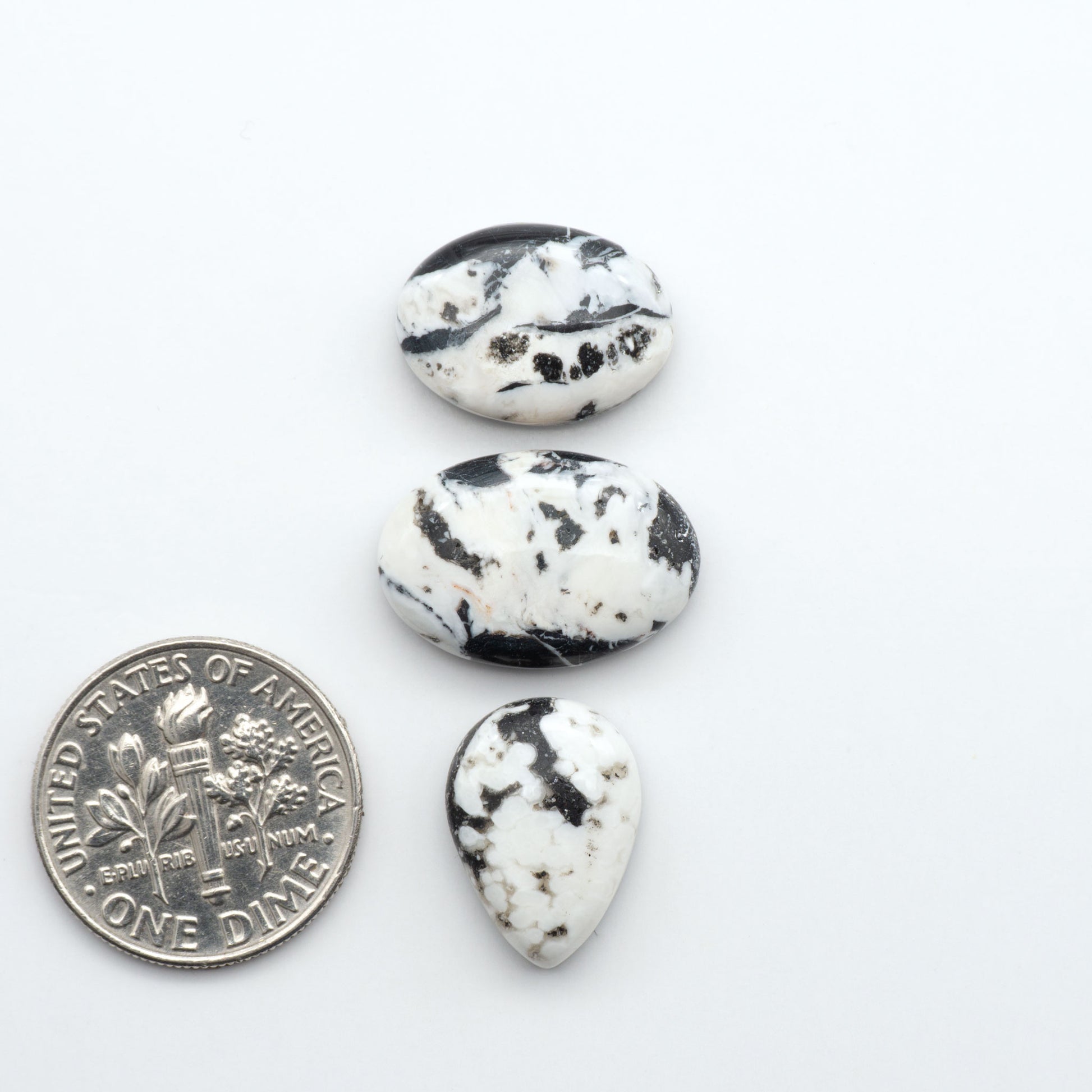 White Buffalo stone cabochons, white stone with black matrix, polished stones on a white background, with a US dime for scale