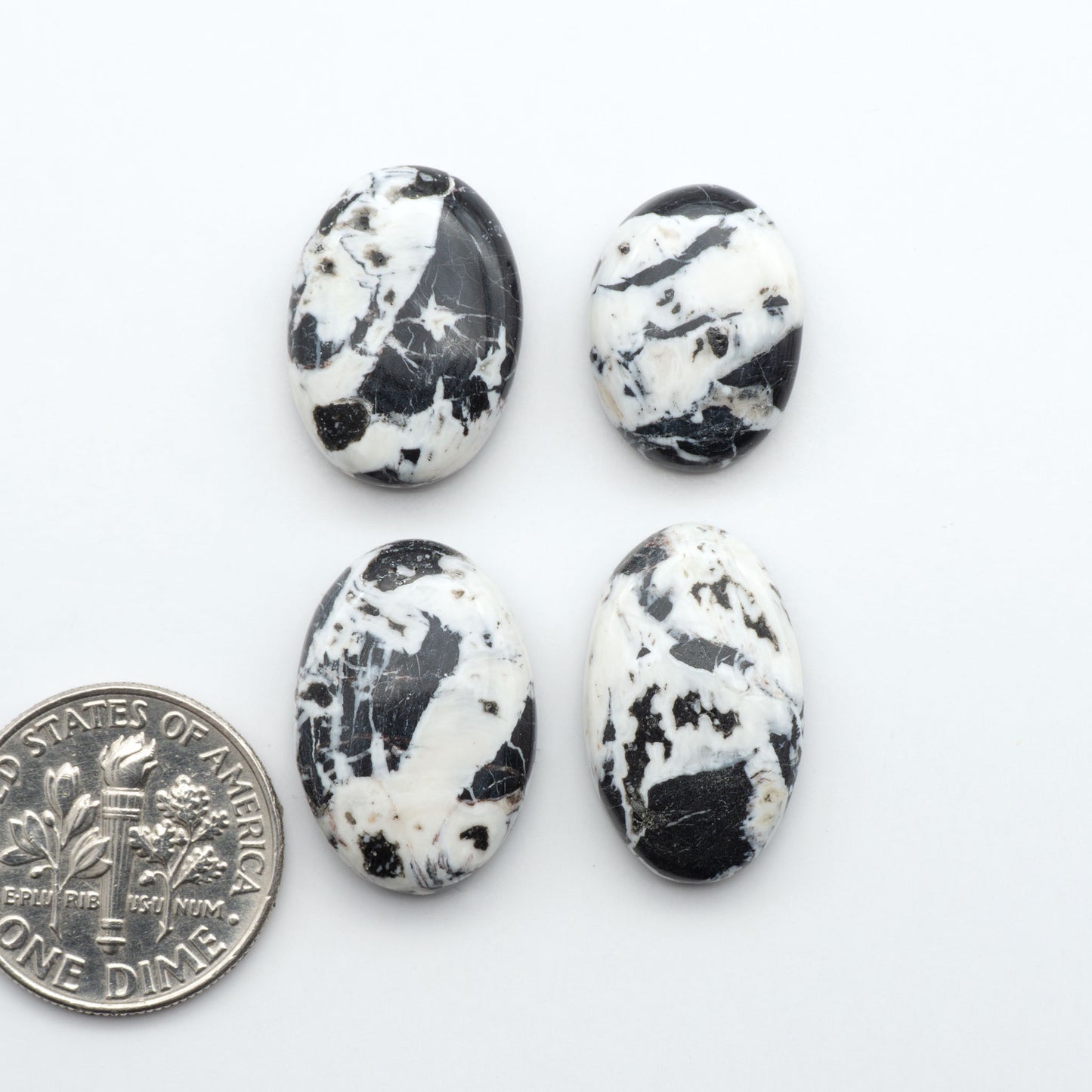 White Buffalo stone cabochons, white stone with black matrix, polished stones on a white background, with a US dime for scale