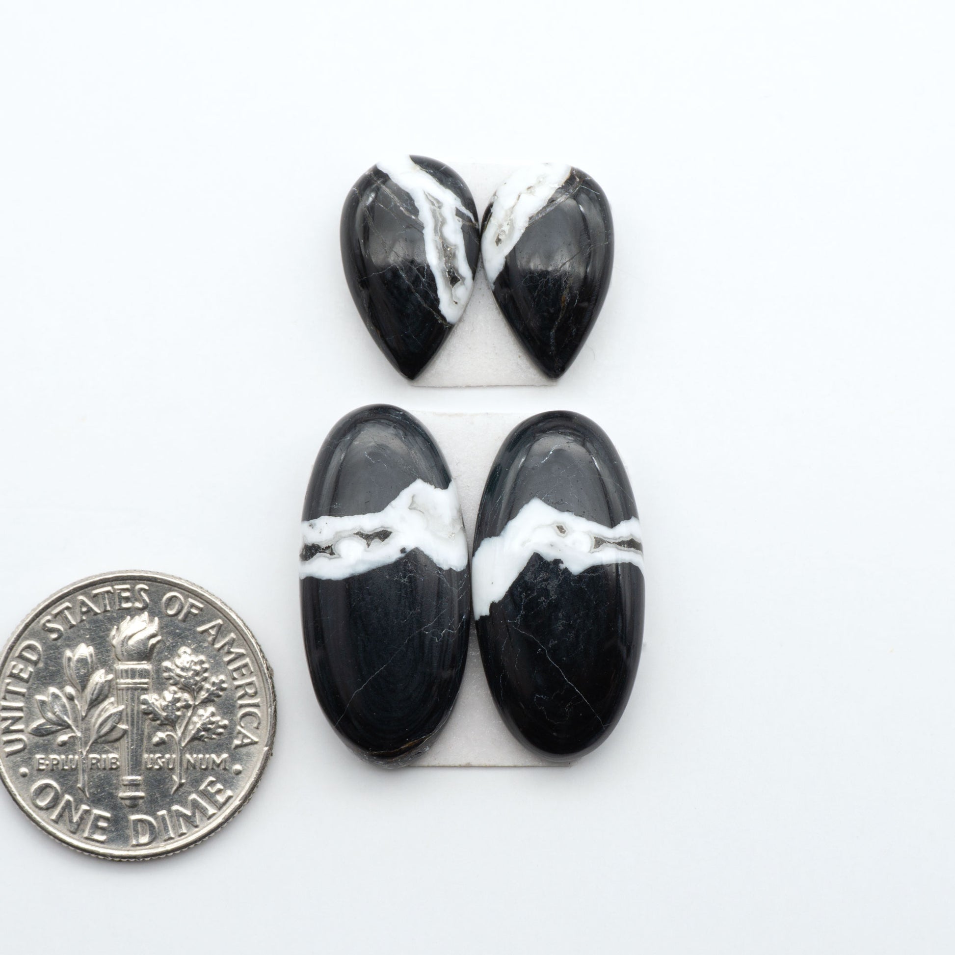 White Buffalo stone cabochons, white stone with black matrix, polished stones on a white background, with a US dime for scale