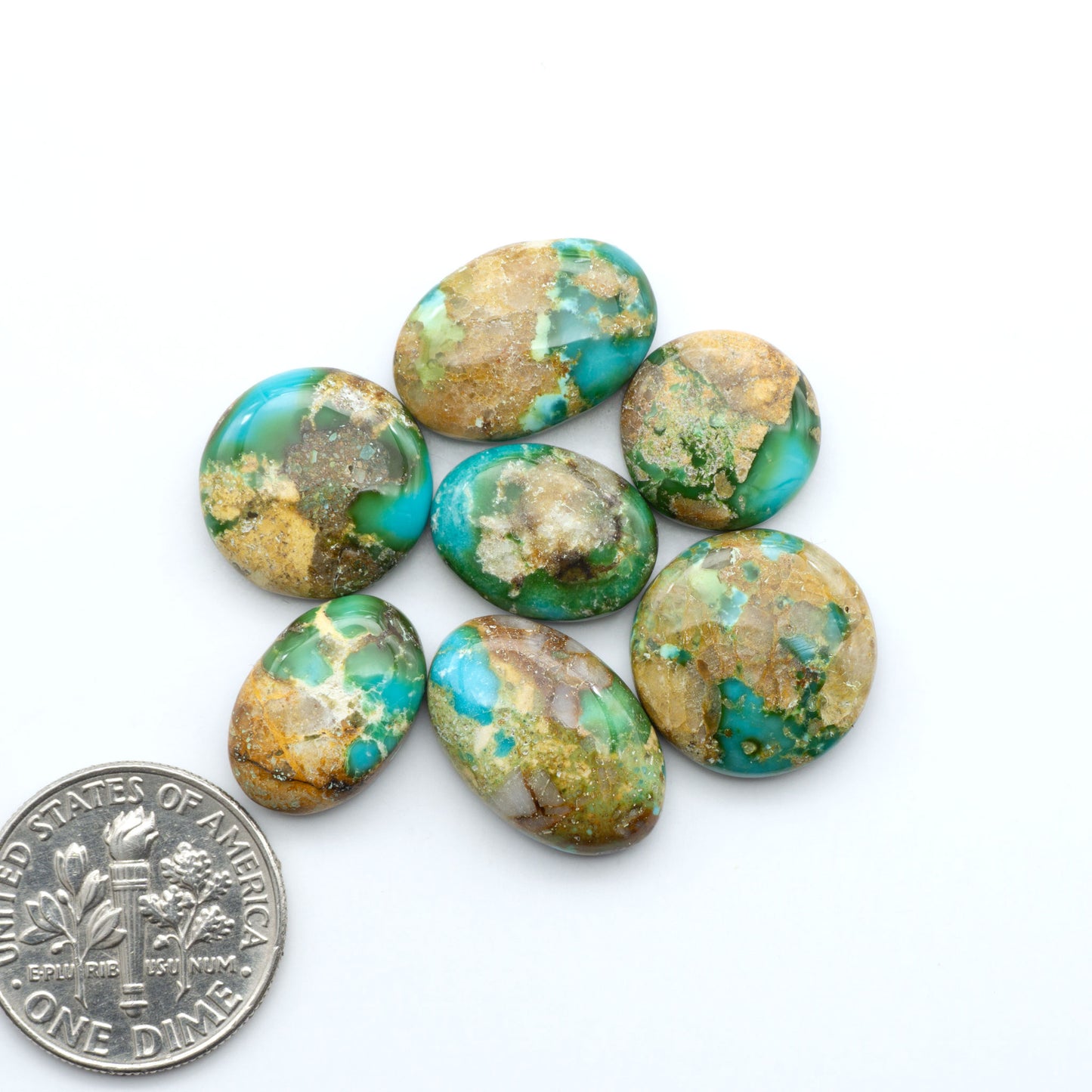 Sonoran Mountain Turquoise cabochons, blue-green color with natural matrix, polished stones on a white background, with a US dime for scale