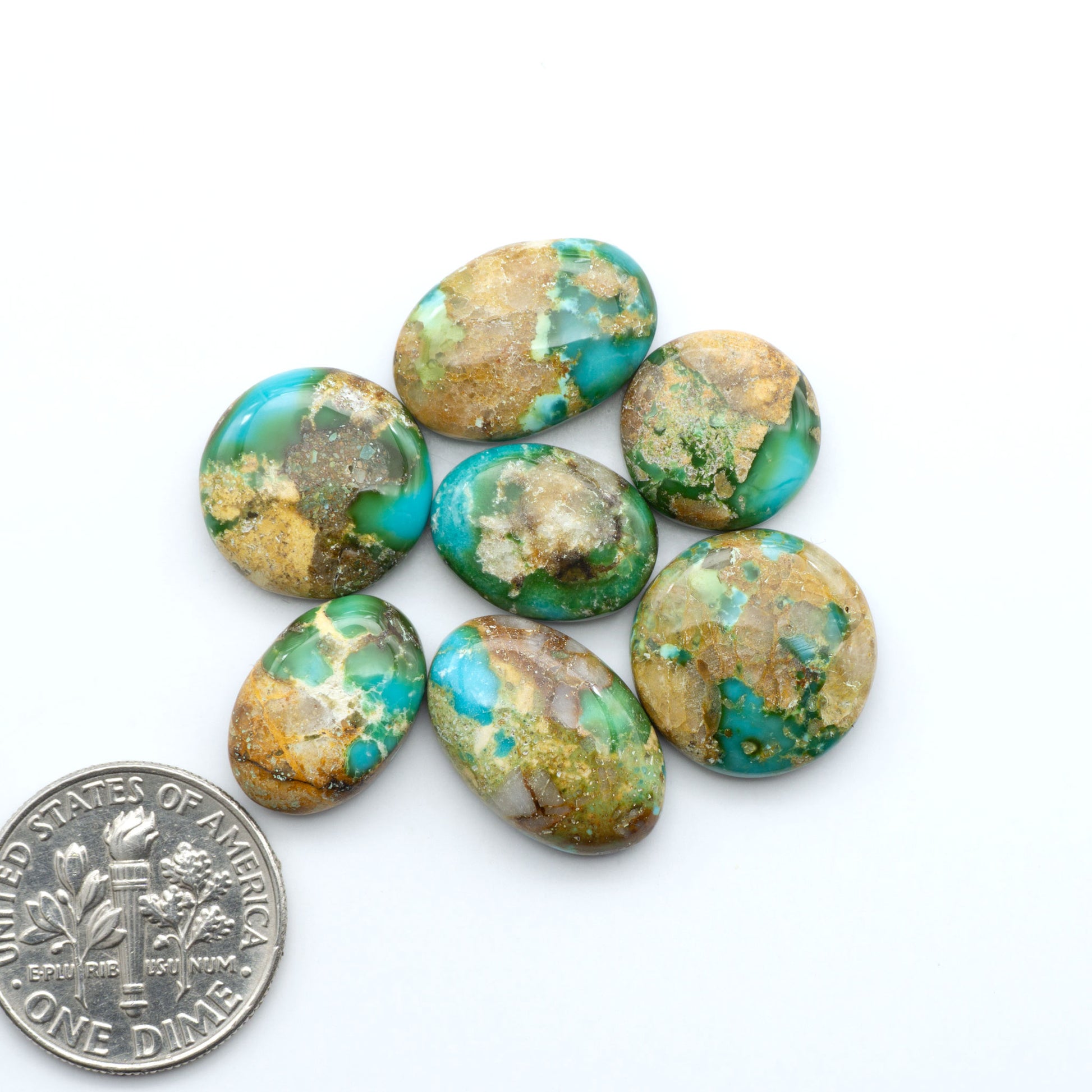 Sonoran Mountain Turquoise cabochons, blue-green color with natural matrix, polished stones on a white background, with a US dime for scale
