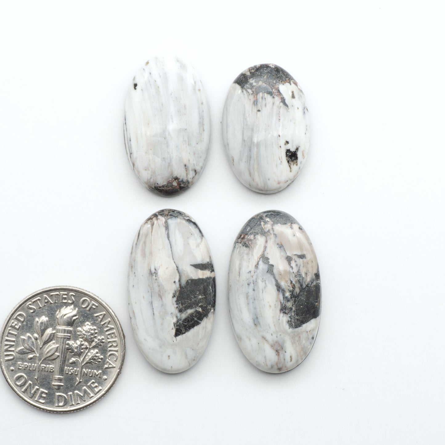 White Buffalo stone cabochons, white stone with black matrix, polished stones on a white background, with a US dime for scale
