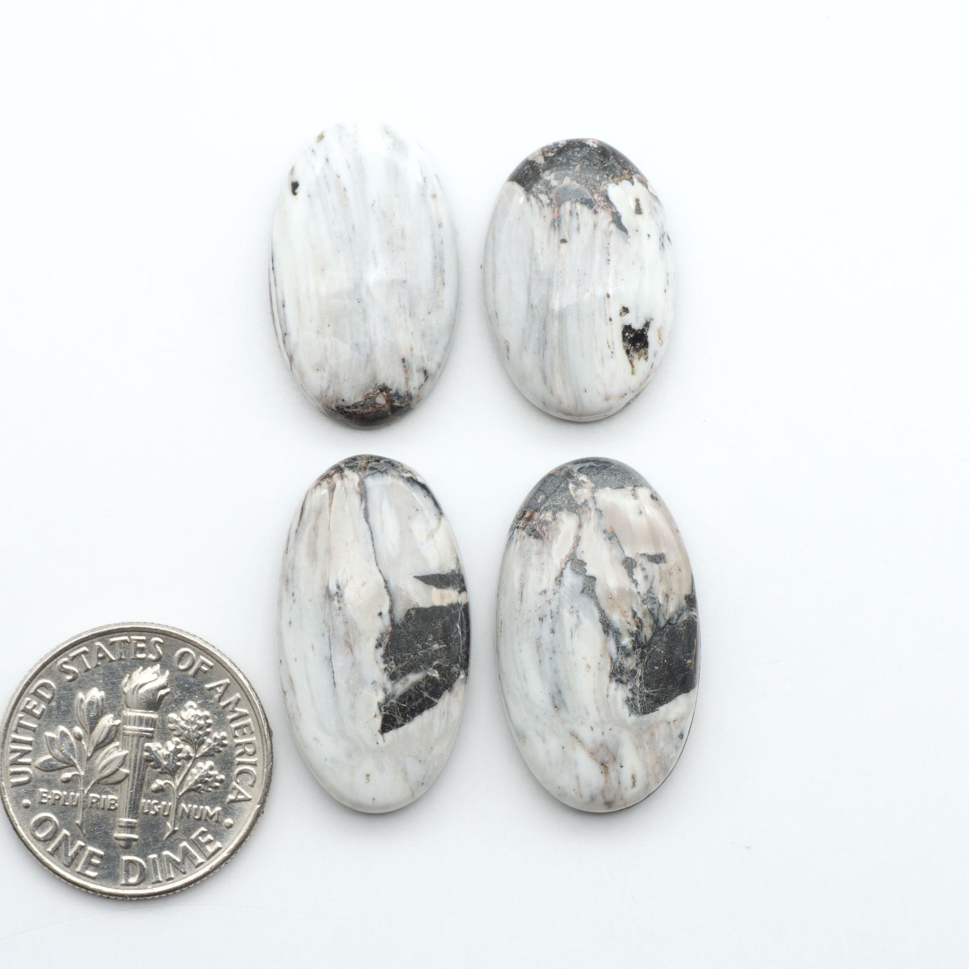 White Buffalo stone cabochons, white stone with black matrix, polished stones on a white background, with a US dime for scale