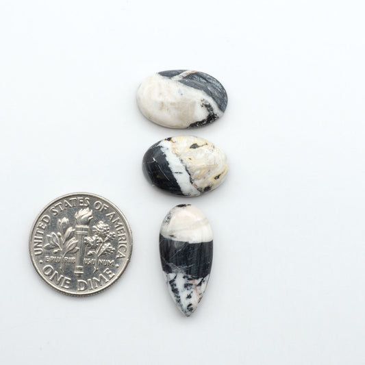 White Buffalo stone cabochons, white stone with black matrix, polished stones on a white background, with a US dime for scale