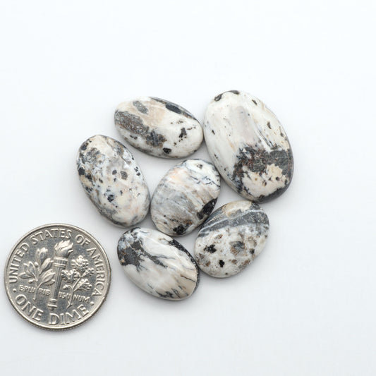 White Buffalo stone cabochons, white stone with black matrix, polished stones on a white background, with a US dime for scale
