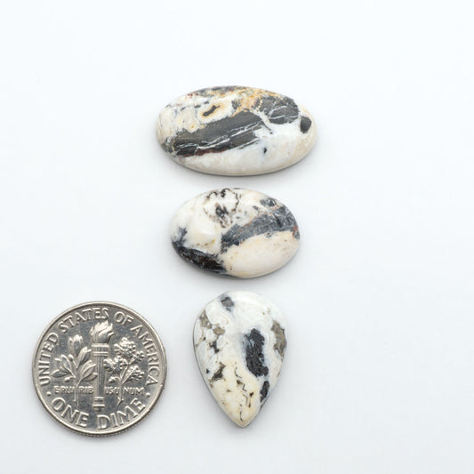 White Buffalo stone cabochons, white stone with black matrix, polished stones on a white background, with a US dime for scale