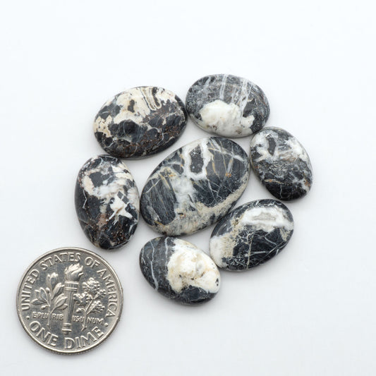 White Buffalo stone cabochons, white stone with black matrix, polished stones on a white background, with a US dime for scale