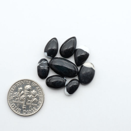 White Buffalo stone cabochons, white stone with black matrix, polished stones on a white background, with a US dime for scale