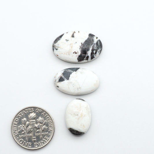 White Buffalo stone cabochons, white stone with black matrix, polished stones on a white background, with a US dime for scale