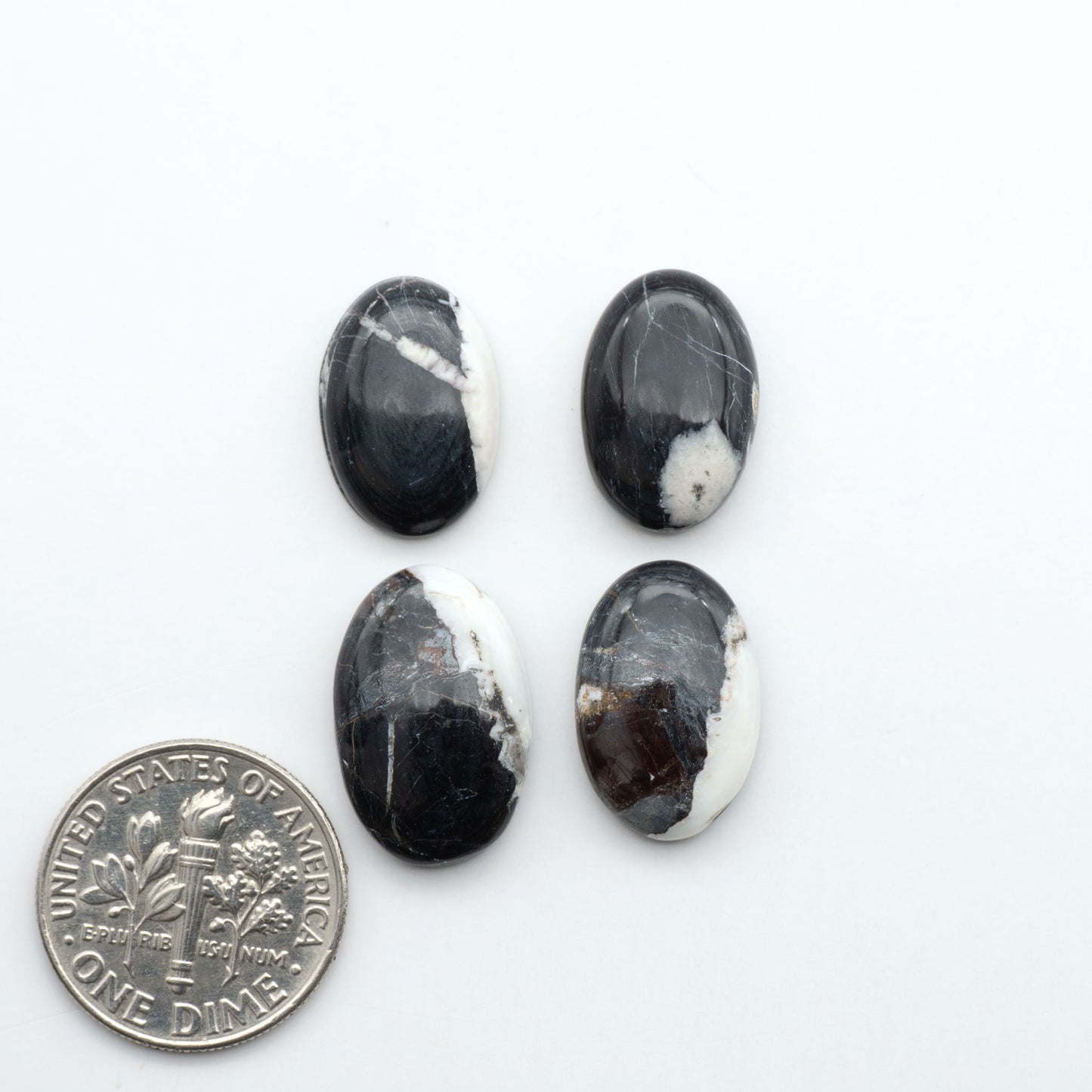 White Buffalo stone cabochons, white stone with black matrix, polished stones on a white background, with a US dime for scale