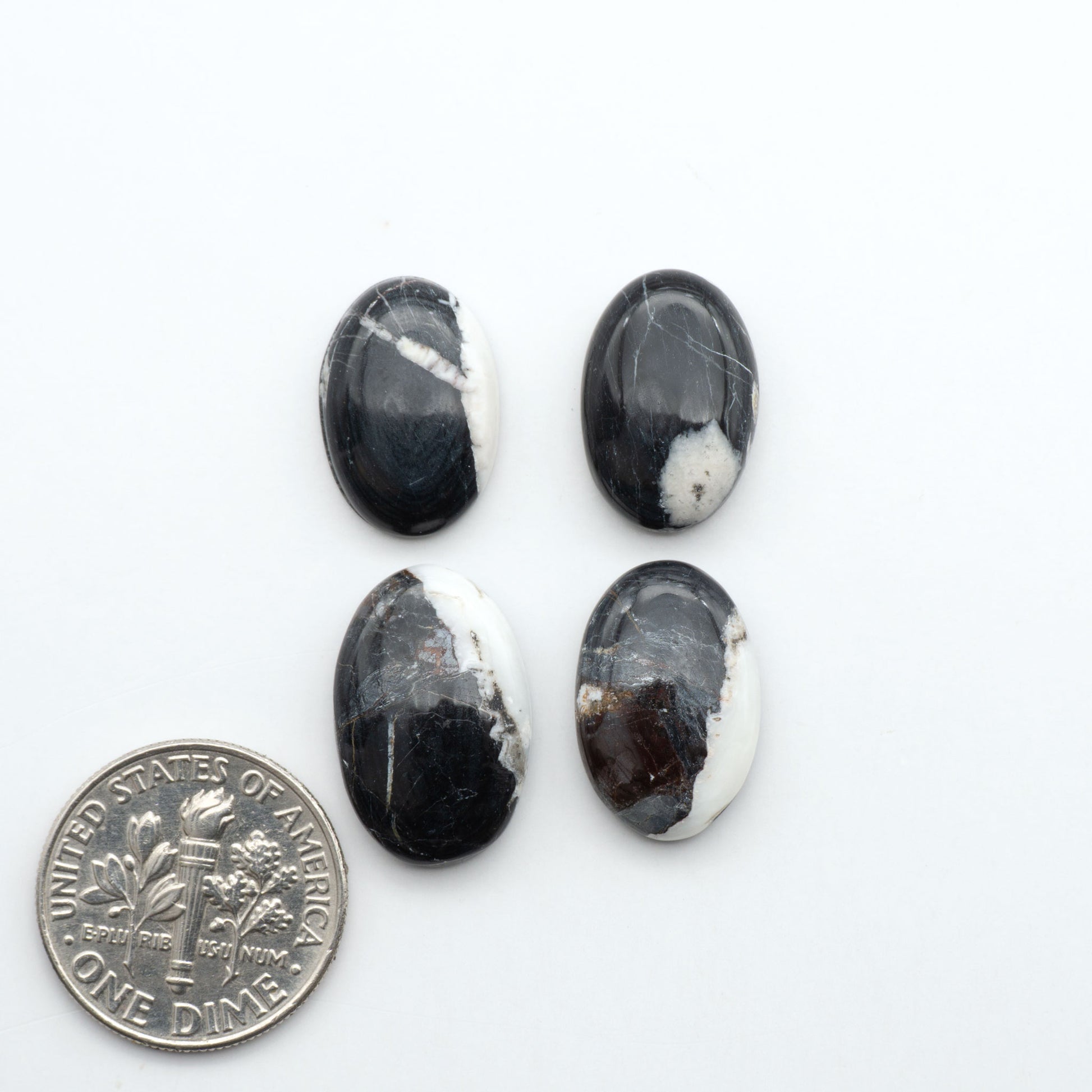 White Buffalo stone cabochons, white stone with black matrix, polished stones on a white background, with a US dime for scale