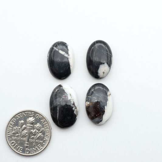 White Buffalo stone cabochons, white stone with black matrix, polished stones on a white background, with a US dime for scale
