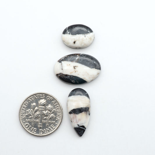 White Buffalo stone cabochons, white stone with black matrix, polished stones on a white background, with a US dime for scale