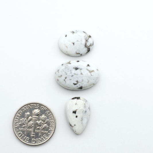 White Buffalo stone cabochons, white stone with black matrix, polished stones on a white background, with a US dime for scale