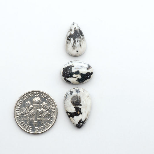 White Buffalo stone cabochons, white stone with black matrix, polished stones on a white background, with a US dime for scale