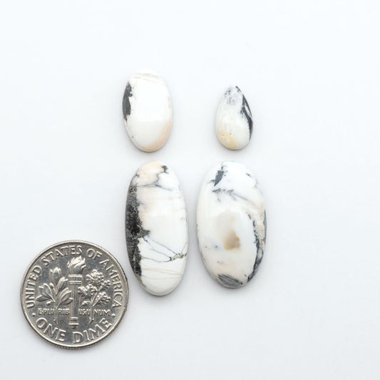 White Buffalo stone cabochons, white stone with black matrix, polished stones on a white background, with a US dime for scale