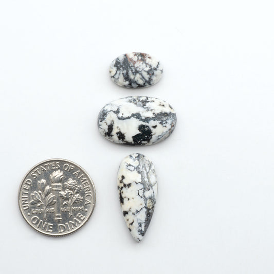 White Buffalo stone cabochons, white stone with black matrix, polished stones on a white background, with a US dime for scale