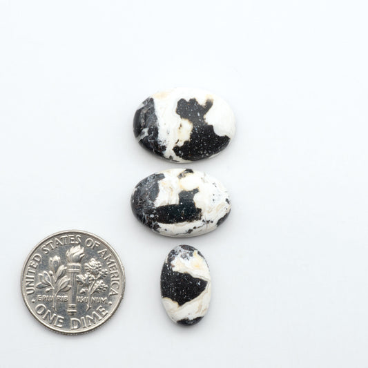 White Buffalo stone cabochons, white stone with black matrix, polished stones on a white background, with a US dime for scale