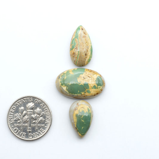 Royston Turquoise cabochons, blue-green color with natural matrix, polished stones on a white background, with a US dime for scale