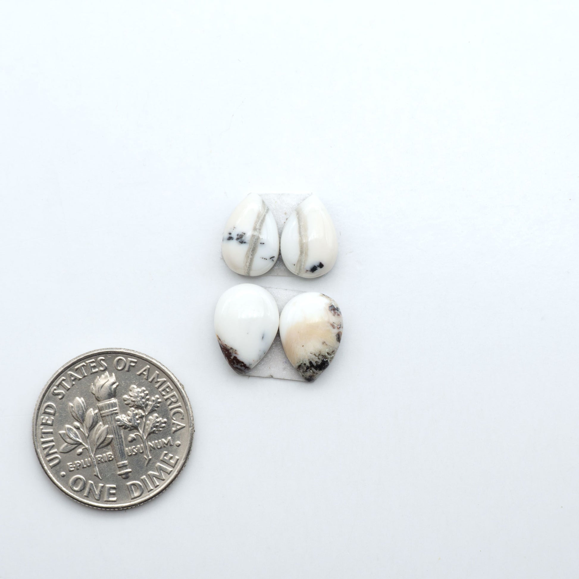 White Buffalo stone cabochons, white stone with black matrix, polished stones on a white background, with a US dime for scale