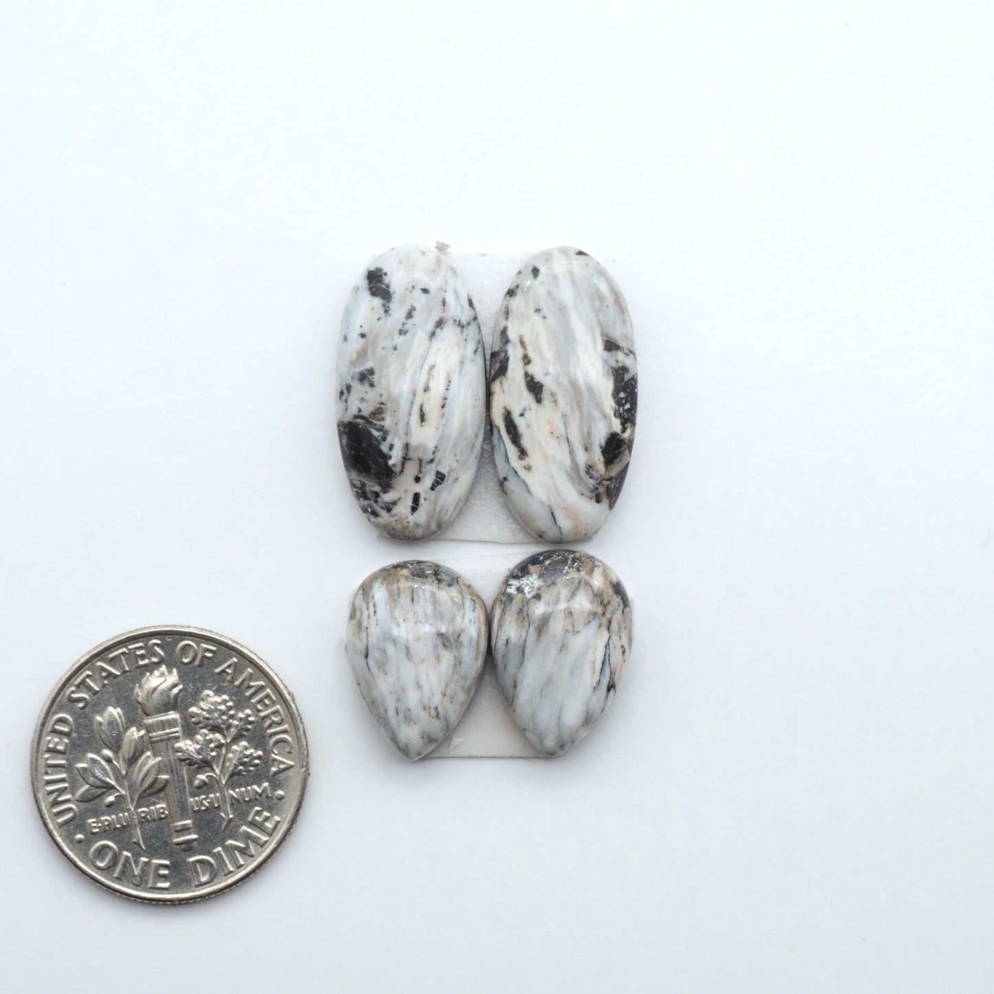 White Buffalo stone cabochons, white stone with black matrix, polished stones on a white background, with a US dime for scale