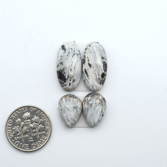 White Buffalo stone cabochons, white stone with black matrix, polished stones on a white background, with a US dime for scale