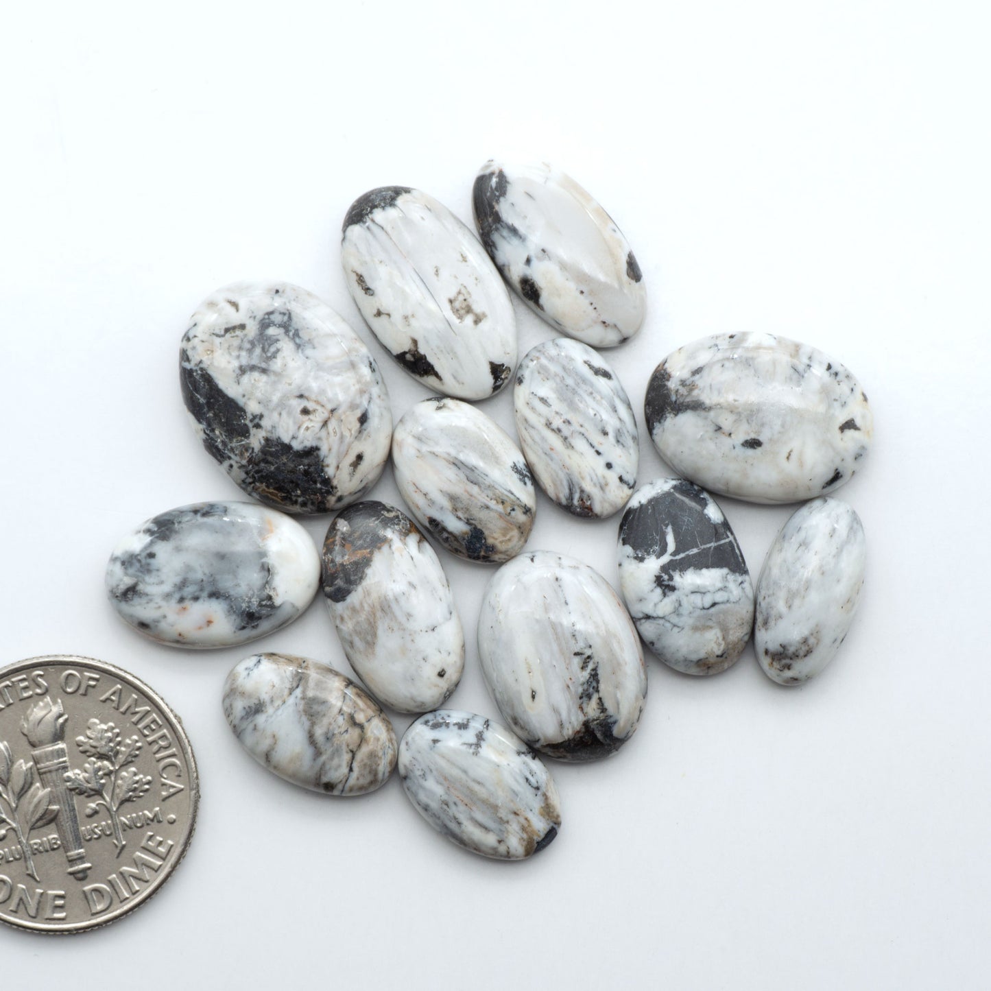 White Buffalo stone cabochons, white stone with black matrix, polished stones on a white background, with a US dime for scale