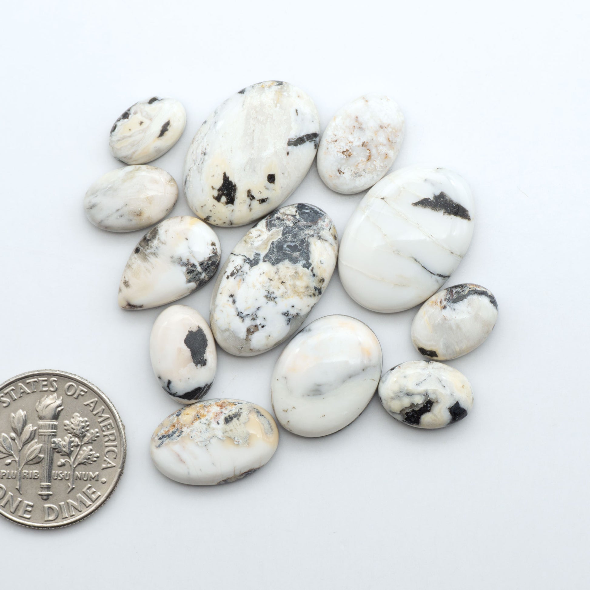 White Buffalo stone cabochons, white stone with black matrix, polished stones on a white background, with a US dime for scale