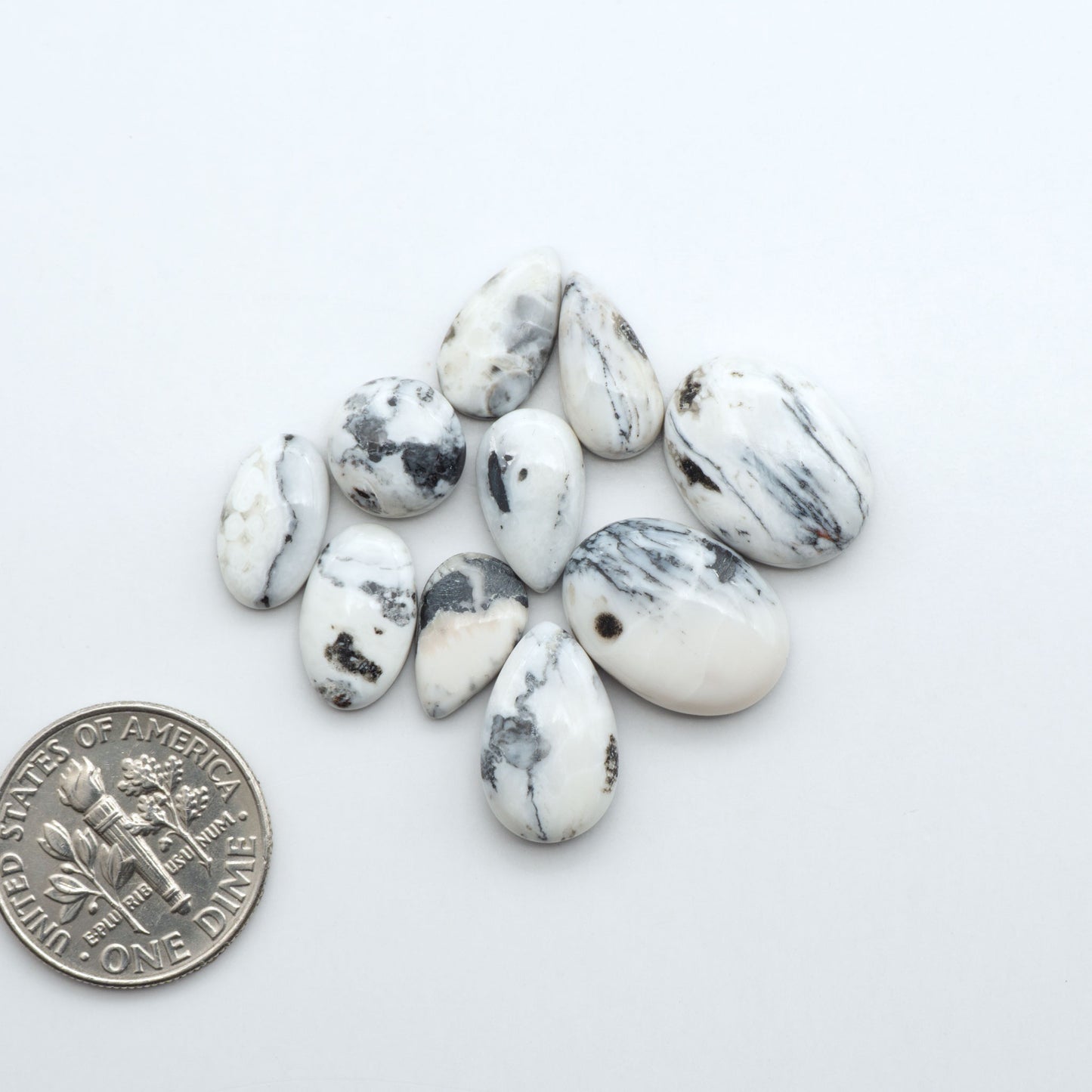 White Buffalo stone cabochons, white stone with black matrix, polished stones on a white background, with a US dime for scale