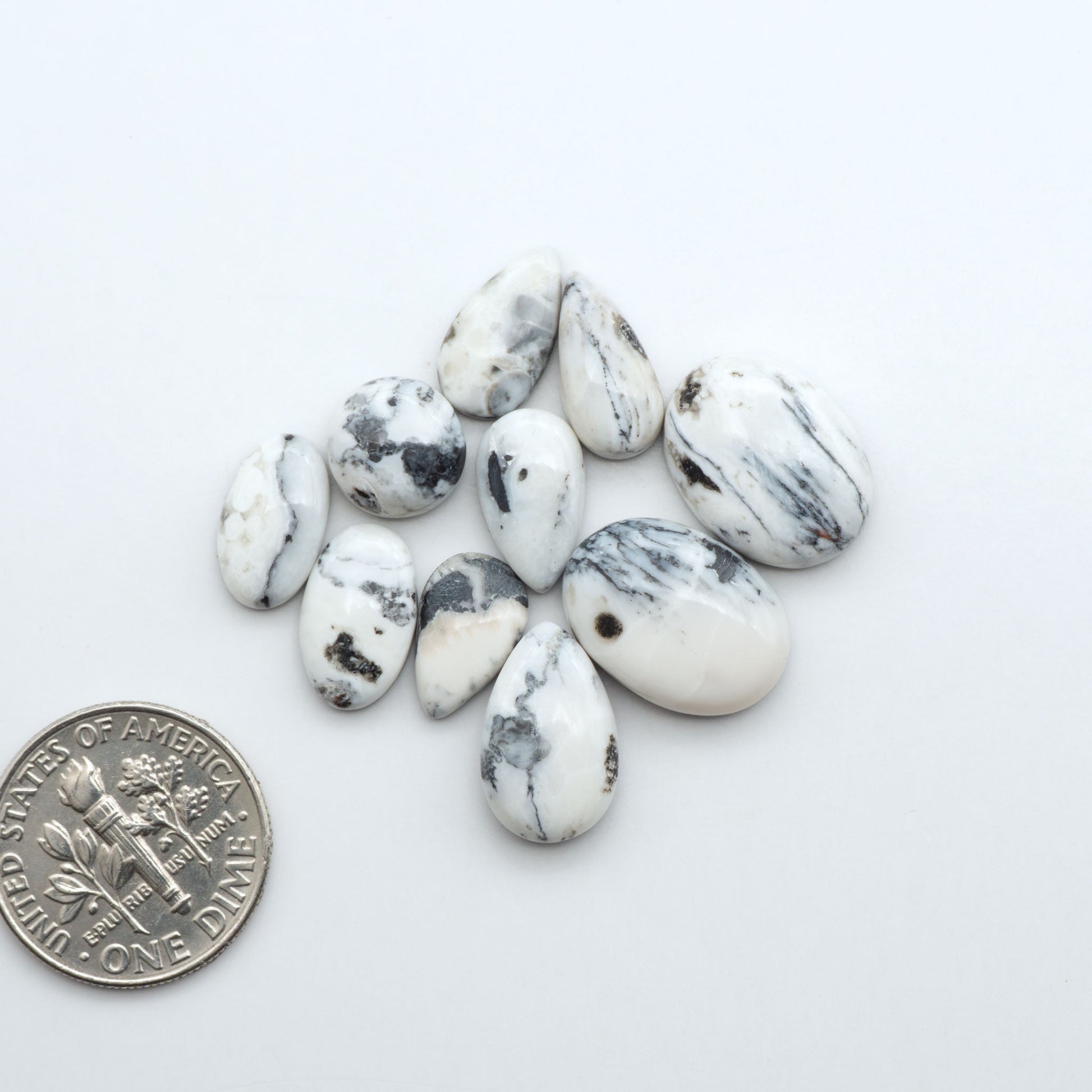 White Buffalo stone cabochons, white stone with black matrix, polished stones on a white background, with a US dime for scale
