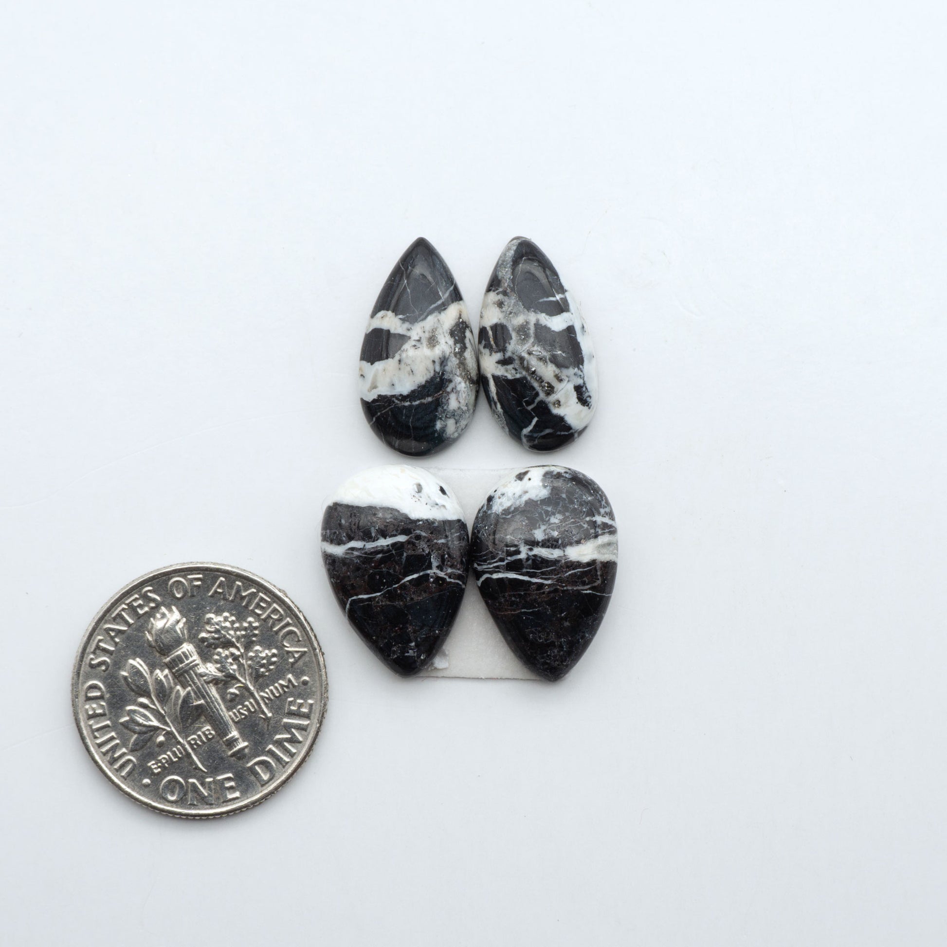 White Buffalo stone cabochons, white stone with black matrix, polished stones on a white background, with a US dime for scale