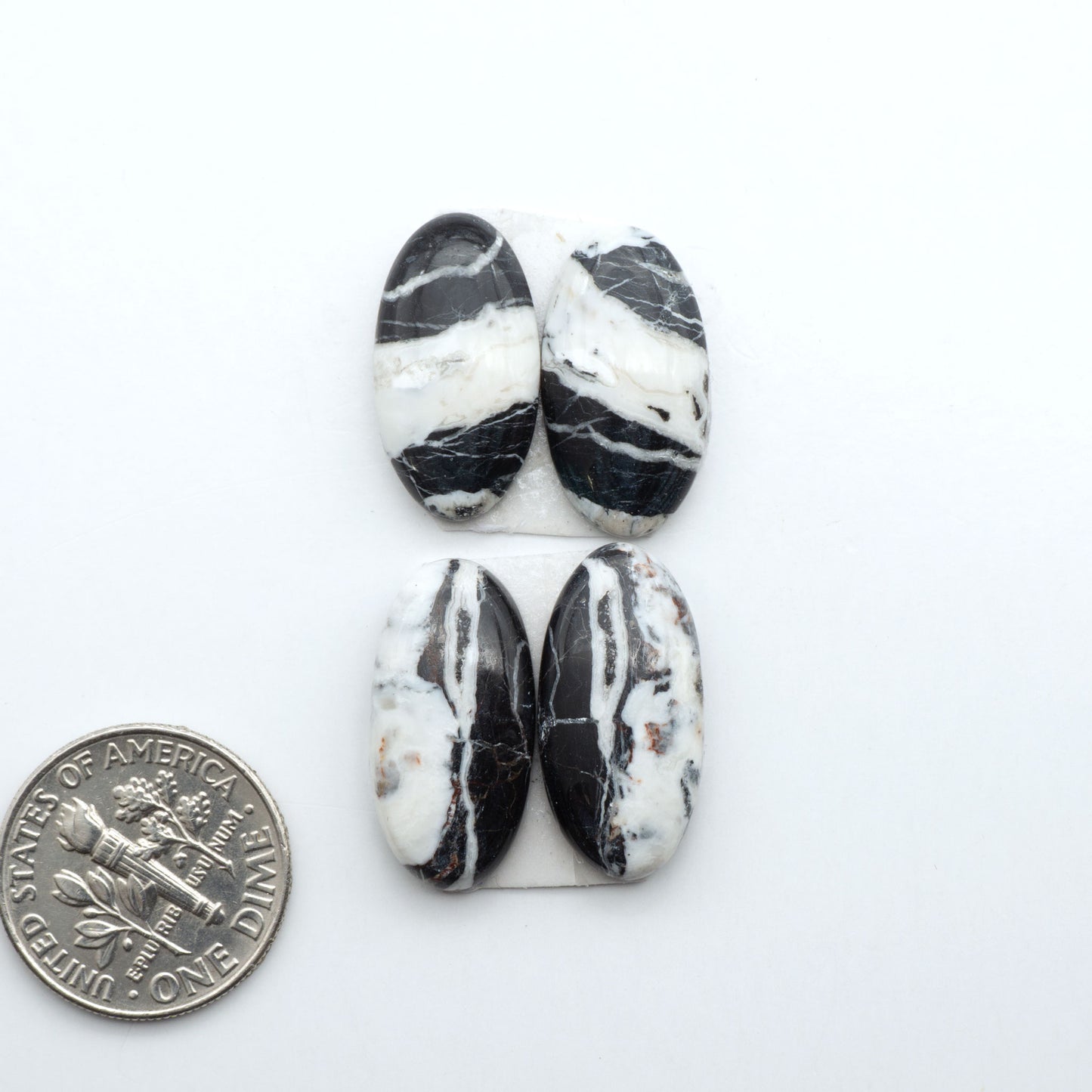 White Buffalo stone cabochons, white stone with black matrix, polished stones on a white background, with a US dime for scale