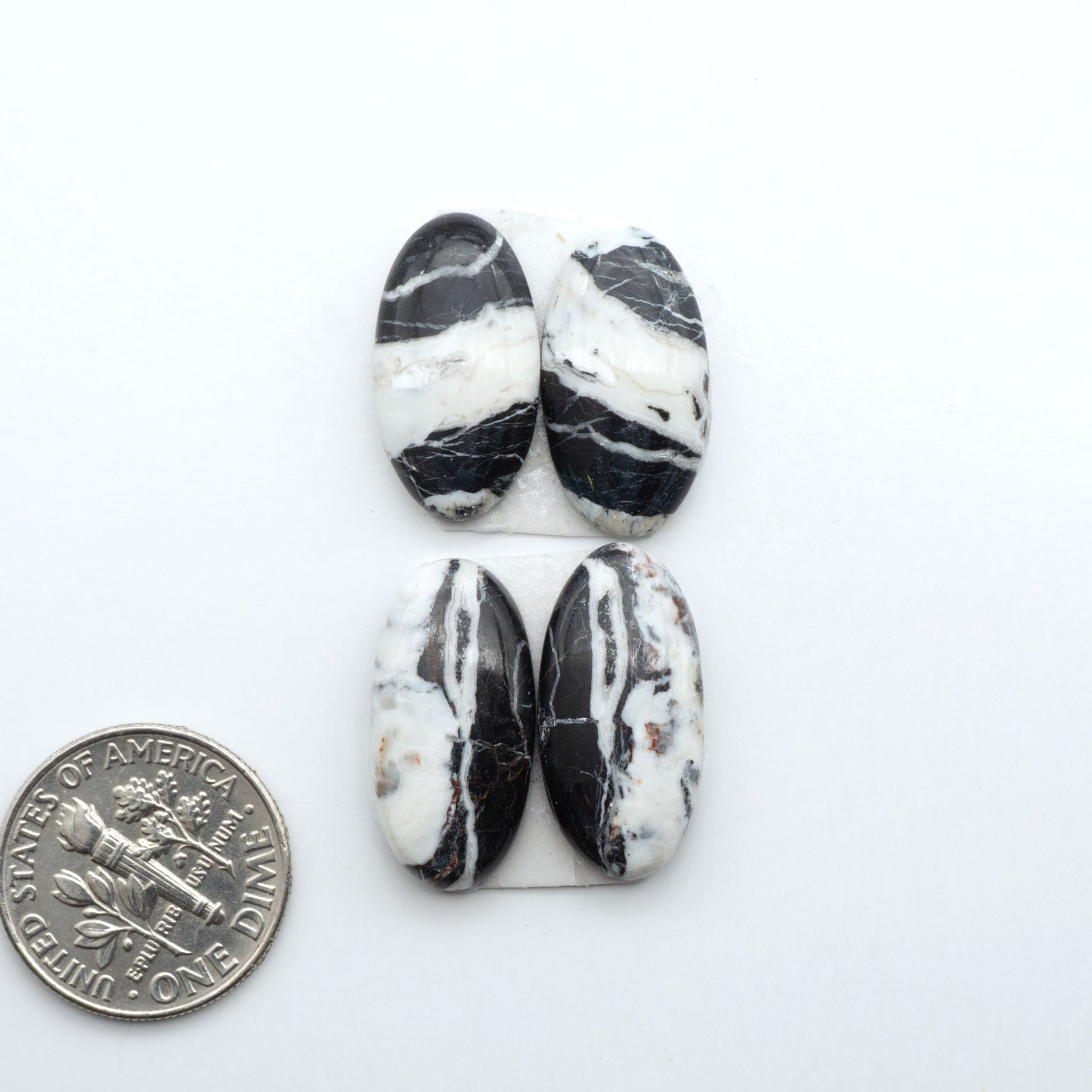 White Buffalo stone cabochons, white stone with black matrix, polished stones on a white background, with a US dime for scale