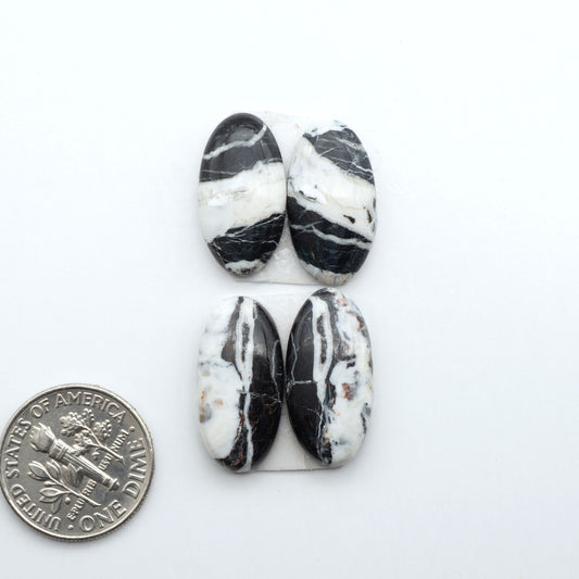 White Buffalo stone cabochons, white stone with black matrix, polished stones on a white background, with a US dime for scale