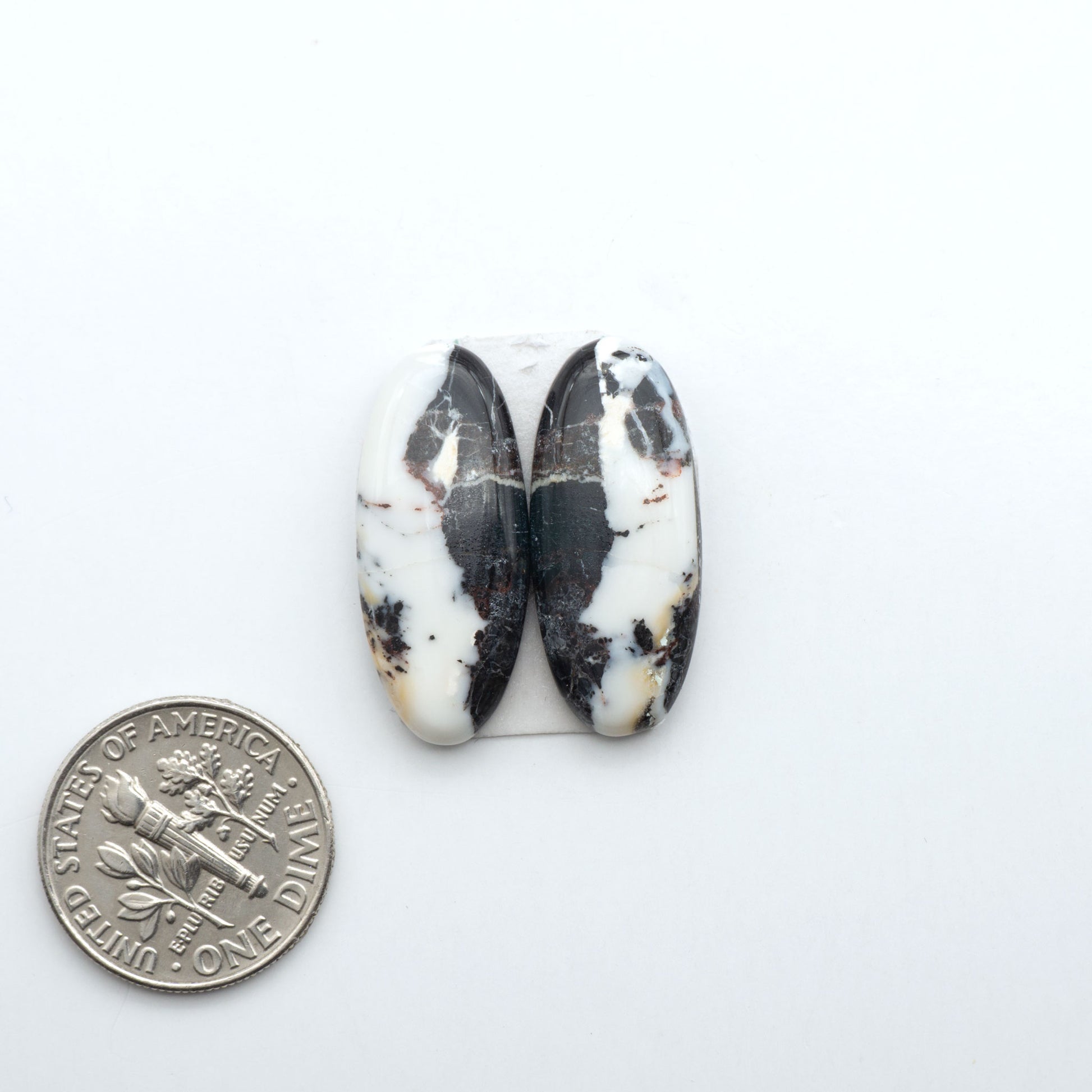 White Buffalo stone cabochons, white stone with black matrix, polished stones on a white background, with a US dime for scale