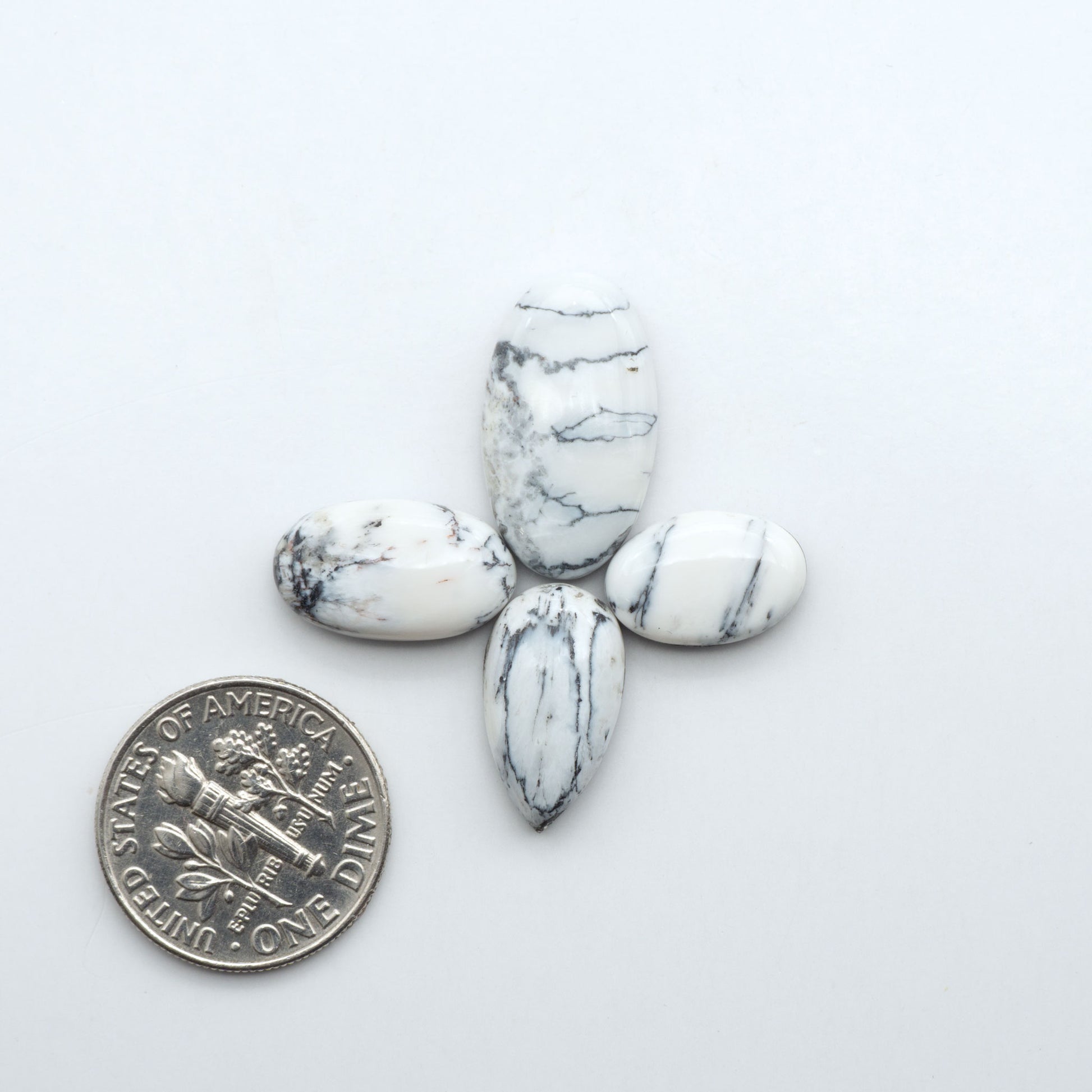 White Buffalo stone cabochons, white stone with black matrix, polished stones on a white background, with a US dime for scale