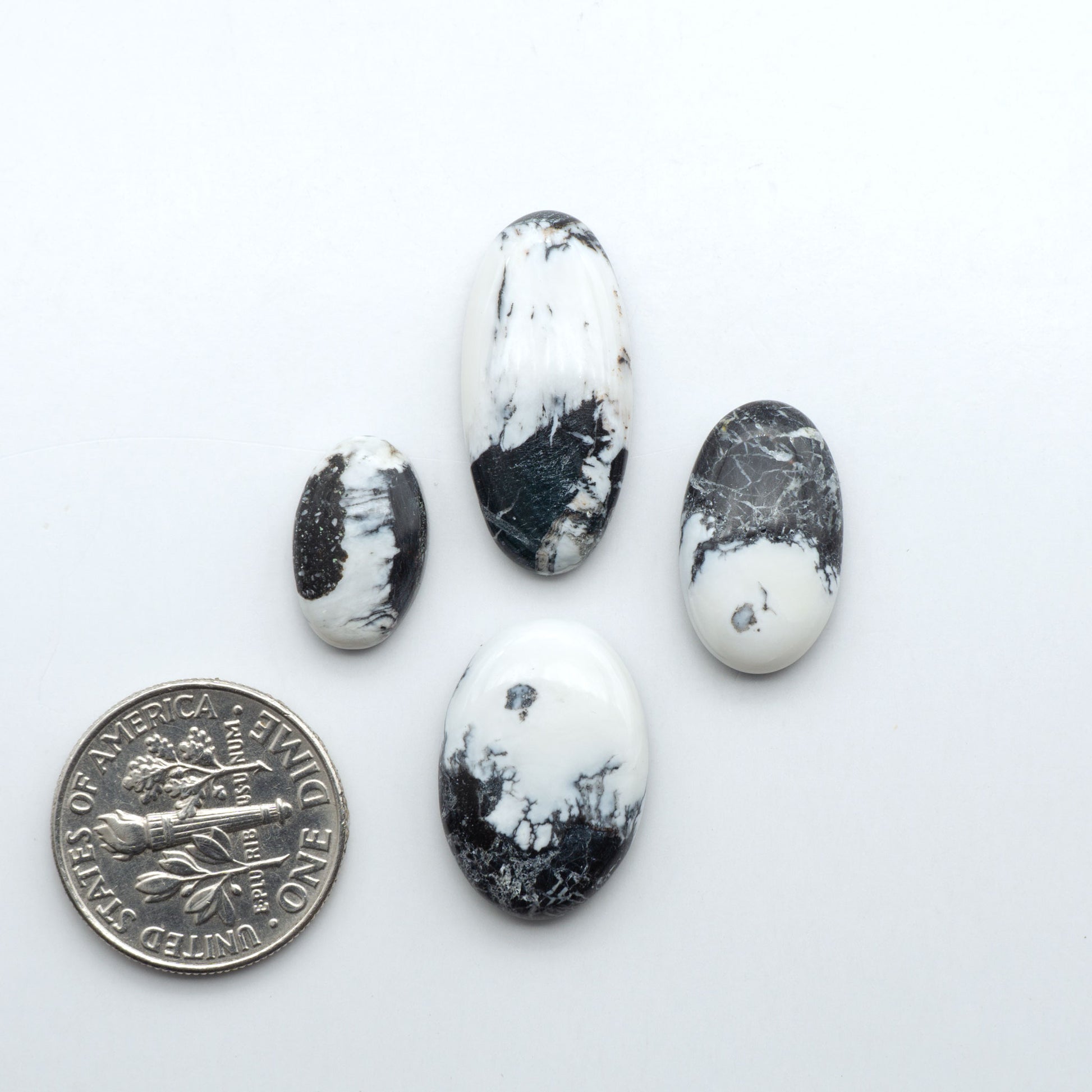 White Buffalo stone cabochons, white stone with black matrix, polished stones on a white background, with a US dime for scale