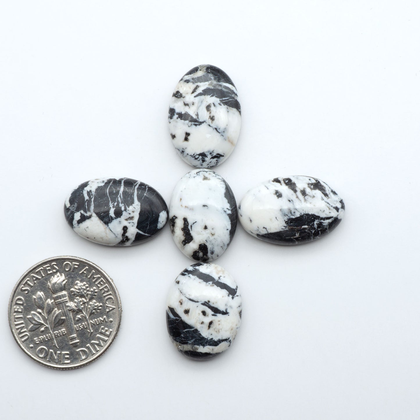 White Buffalo stone cabochons, white stone with black matrix, polished stones on a white background, with a US dime for scale