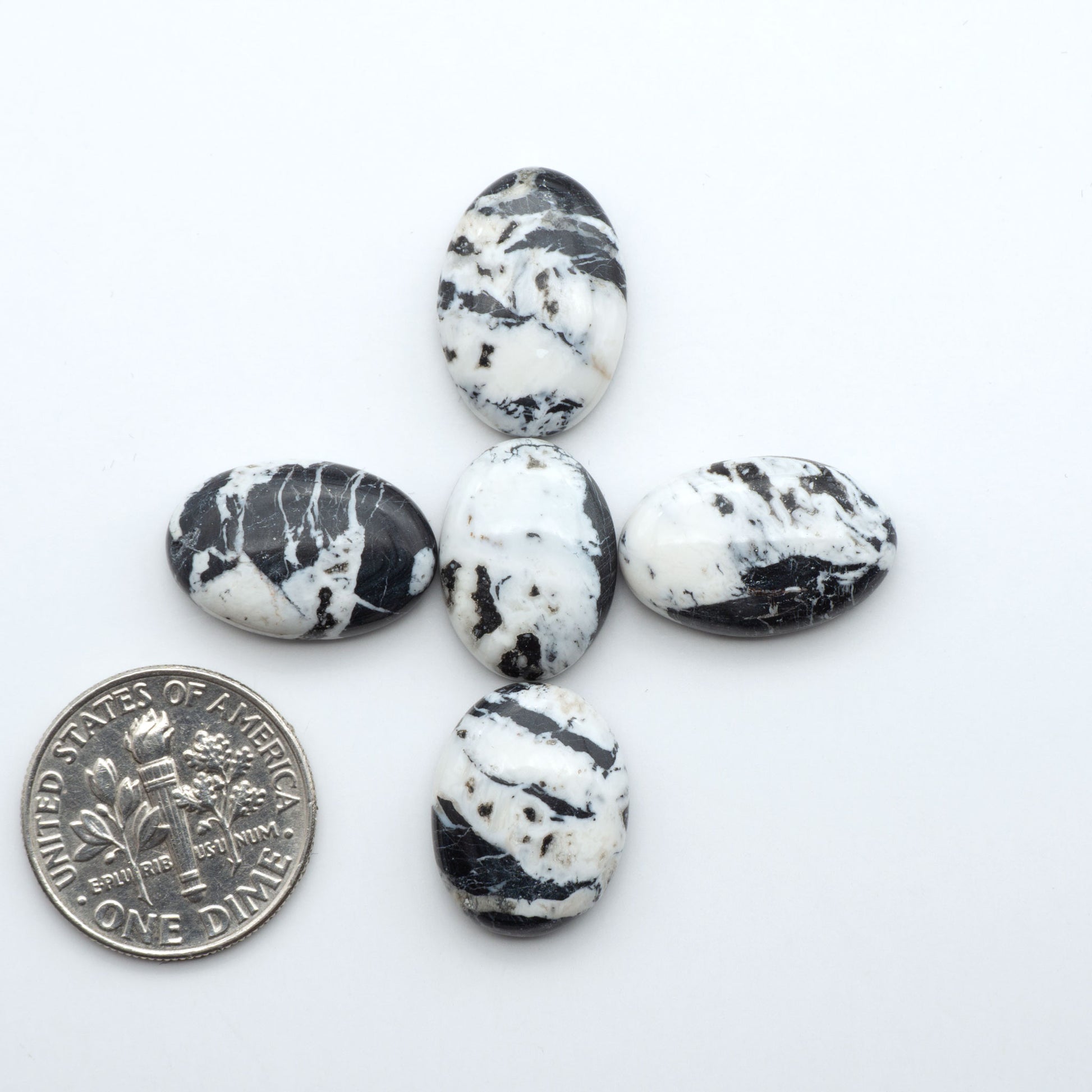 White Buffalo stone cabochons, white stone with black matrix, polished stones on a white background, with a US dime for scale