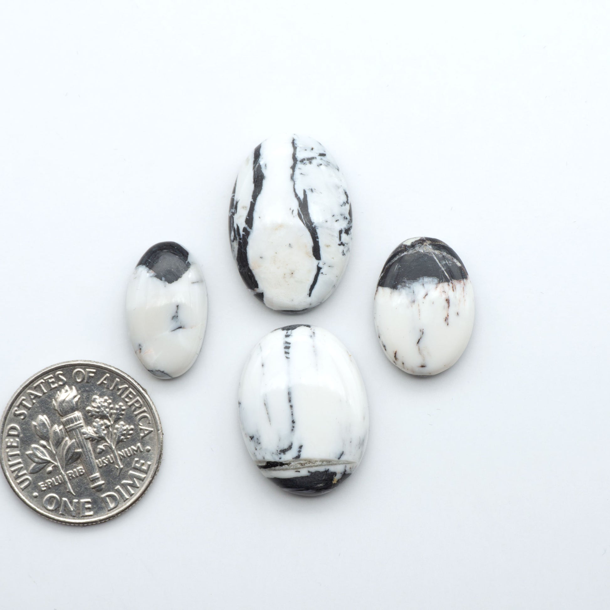 White Buffalo stone cabochons, white stone with black matrix, polished stones on a white background, with a US dime for scale