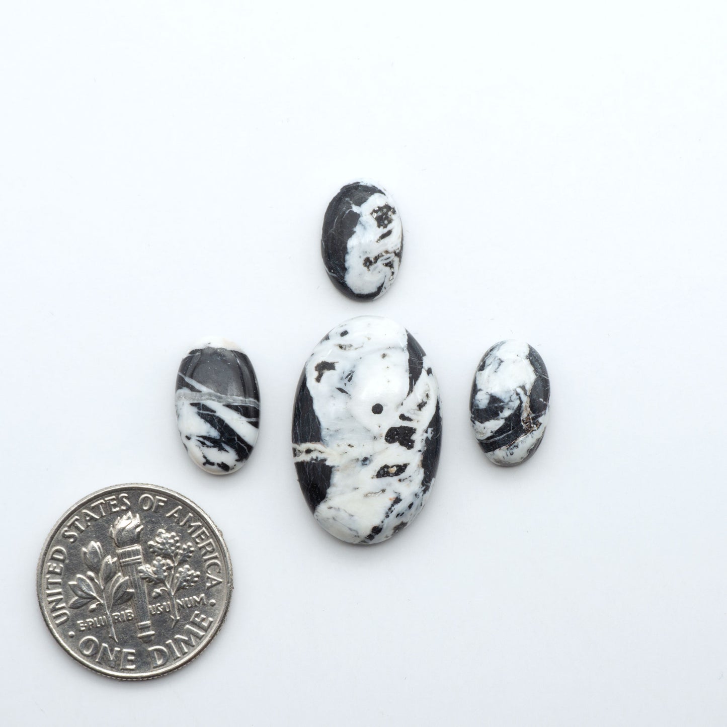 White Buffalo stone cabochons, white stone with black matrix, polished stones on a white background, with a US dime for scale